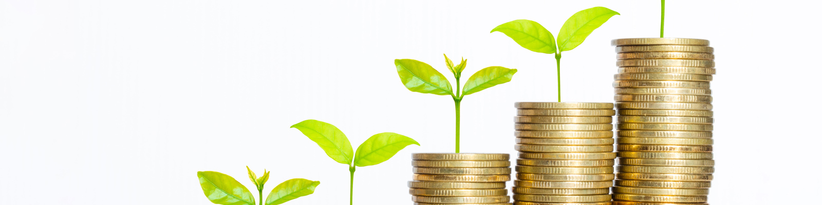 Six ascending stacks of gold coins with progressively taller green seedlings growing from each stack, representing financial growth and investment